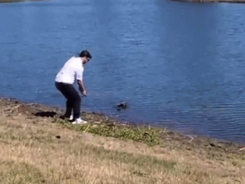 Perfect Business Model