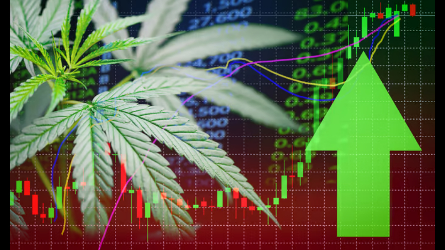 NEW: This Small Cap Stock CRUSHED Earnings (Popping 12.30% at Market Open)