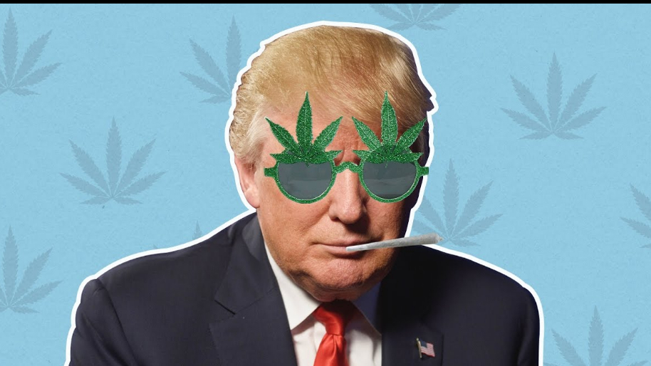 Trump Get's High On Cannabis Sector With Reform Hints...
