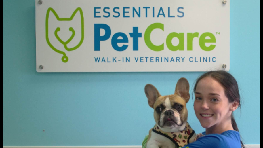 Who Needs a Doctor? Walmart Thinks Your Dog’s Vaccine is More Profitable