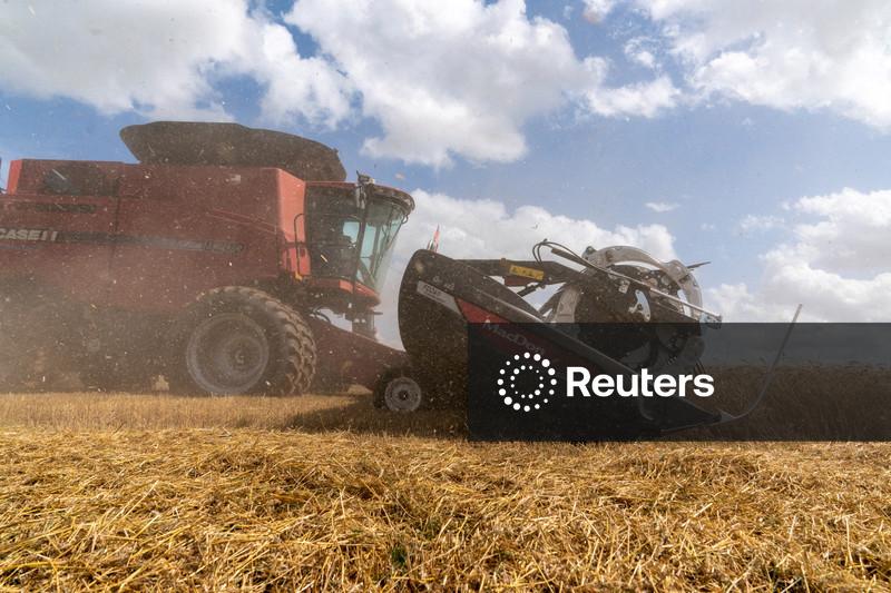 Exclusive - China buys two cargoes of US wheat after leaders' meeting, traders say