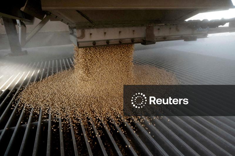 Exclusive-China buys at least 10 US soybean cargoes in new deals after Trump-Xi call, sources say