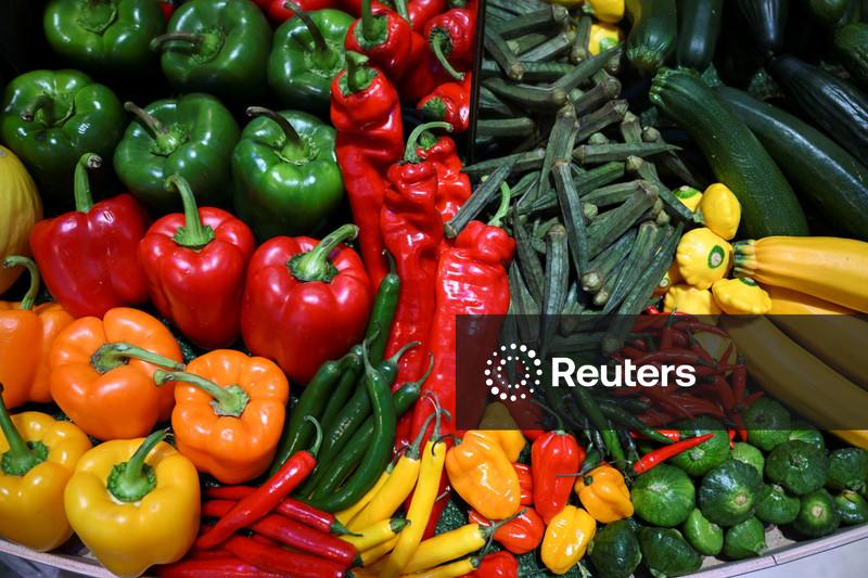 German producer prices fall 2.5% y/y in December