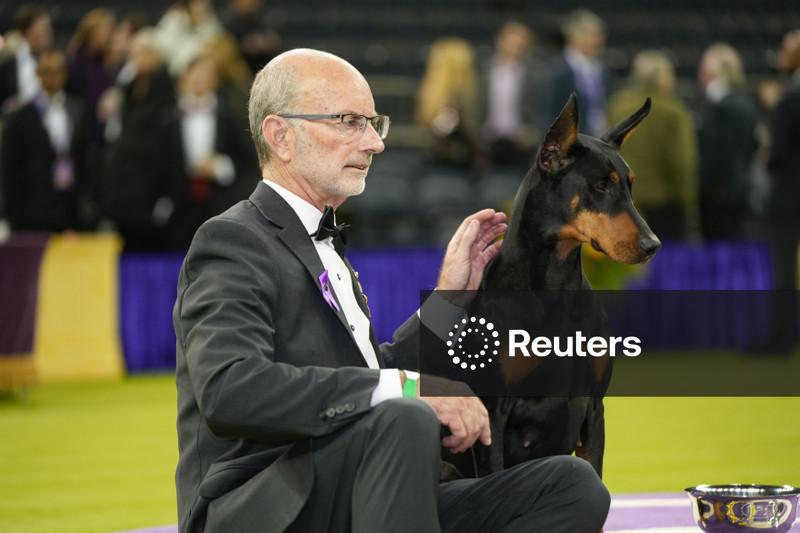 Doberman named Penny wins Westminster dog show