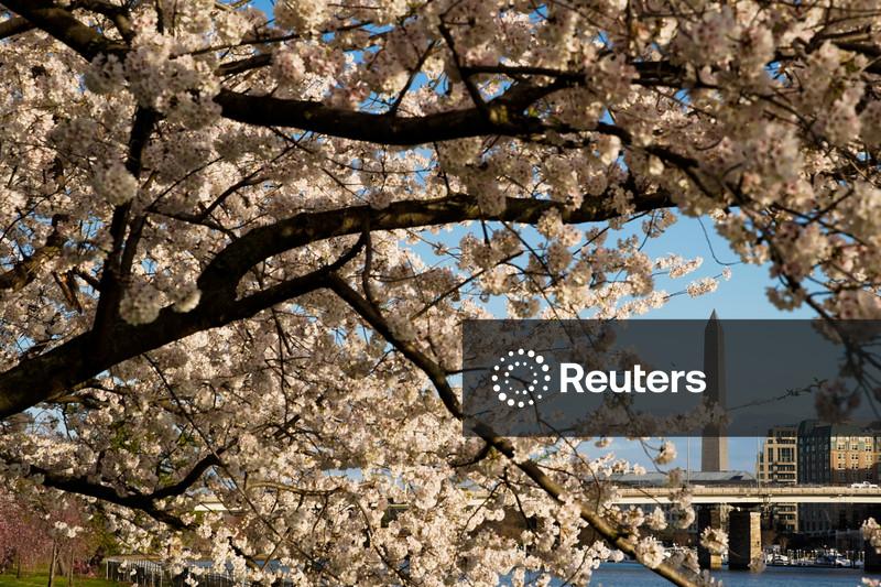 Trump administration sued for attempted overhaul of public golf course in Washington