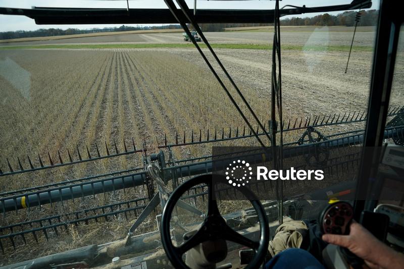 China's weak soybean demand dims prospects for US cargoes after tariff snub
