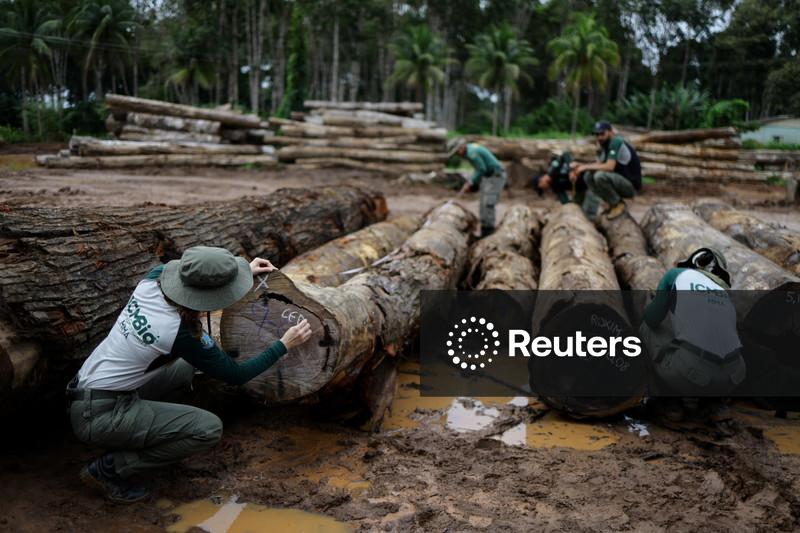 World faces nature reality check at UN biodiversity conference